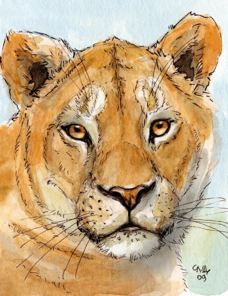 Морды животных акварелью