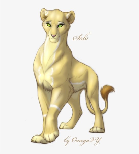 Львица карандашом