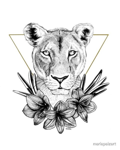 Лев зарисовка
