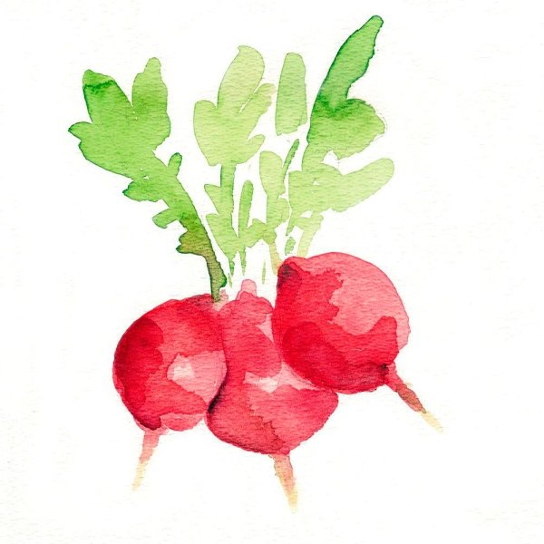 Редис мультяшный