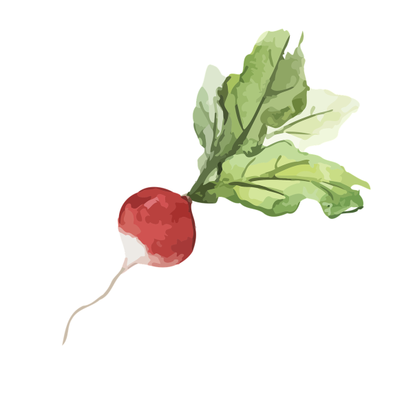 Сказочная редиска