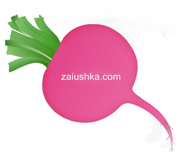 Редиска для детей