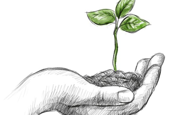 Росток растения Графика