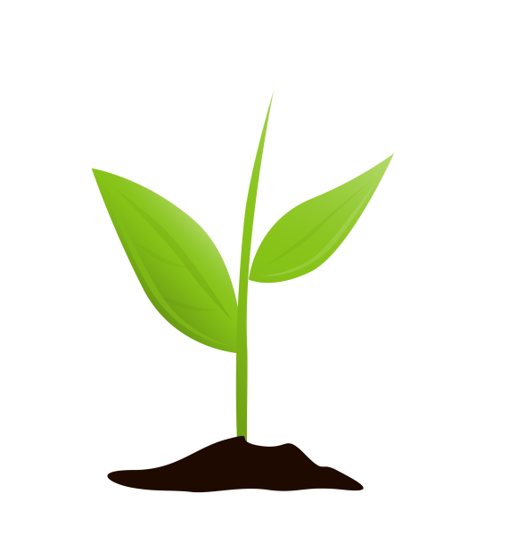 Росточек на прозрачном фоне