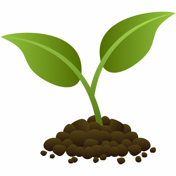 Росток с листьями