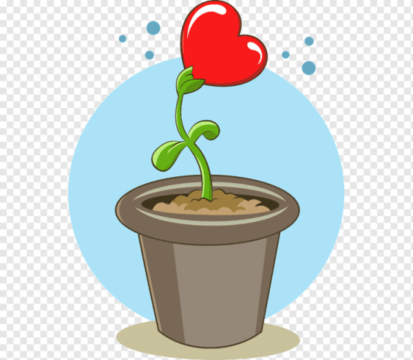 Цветы в горшках