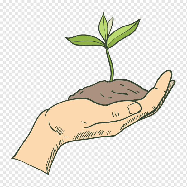 Росток в руках на прозрачном фоне