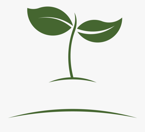 Растение символ