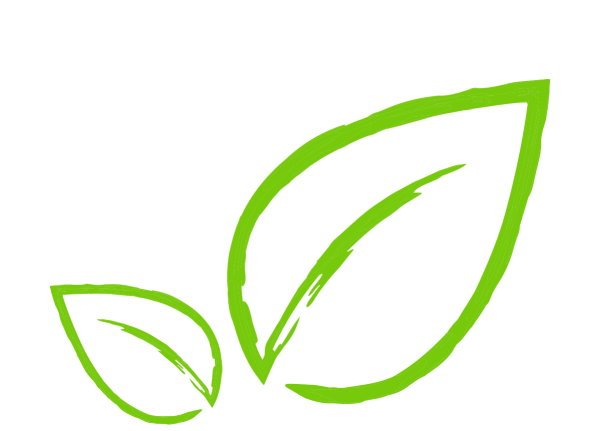 Логотип листик