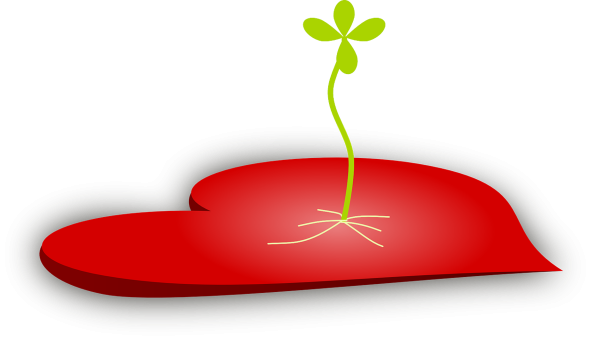 Росток без фона