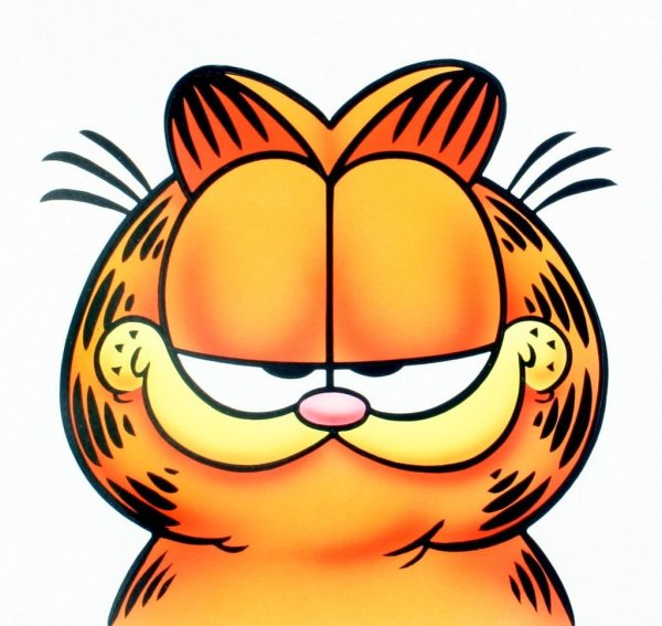 Гарфилд лицо