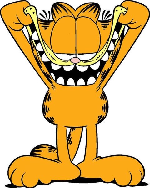 Кот Гарфилд мультфильм