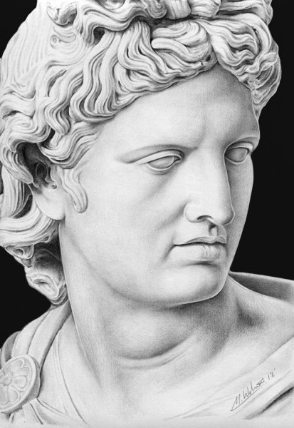 Аполлон Бельведерский гипсовая голова