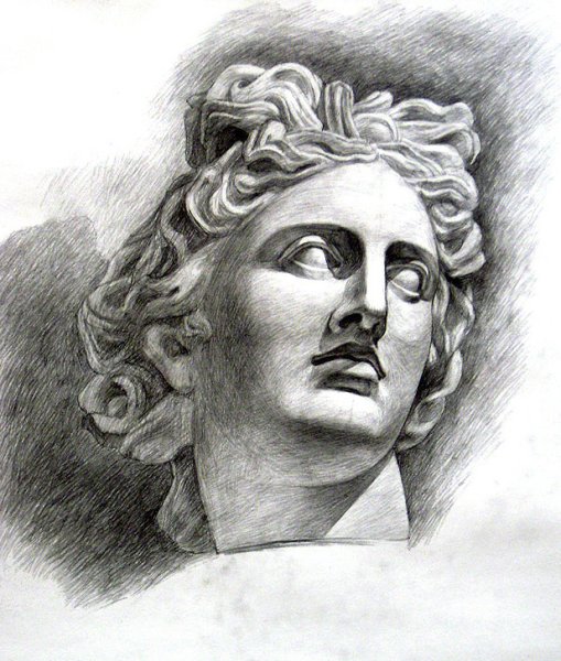 Голова Аполлона Штиглица