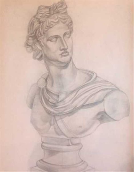 Аполлон Бельведерский голова рисунок
