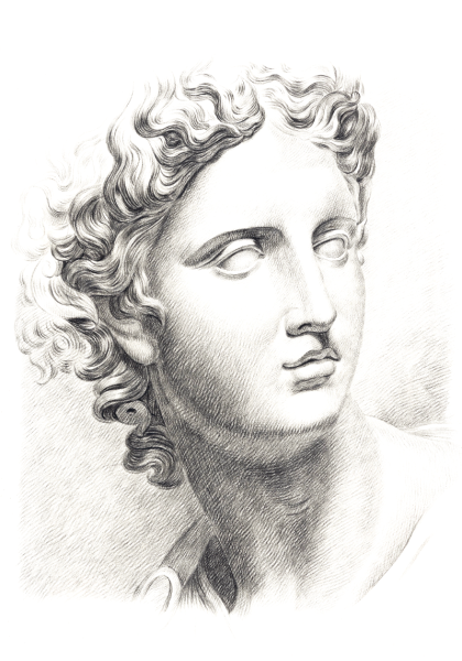 Аполлон Бельведерский бюст рисунок