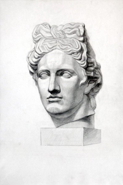 Аполлон Бельведерский голова гипс