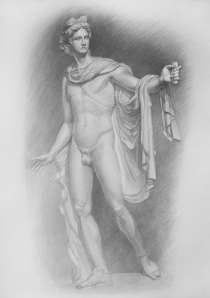 Аполлон Бельведерский голова рисунок