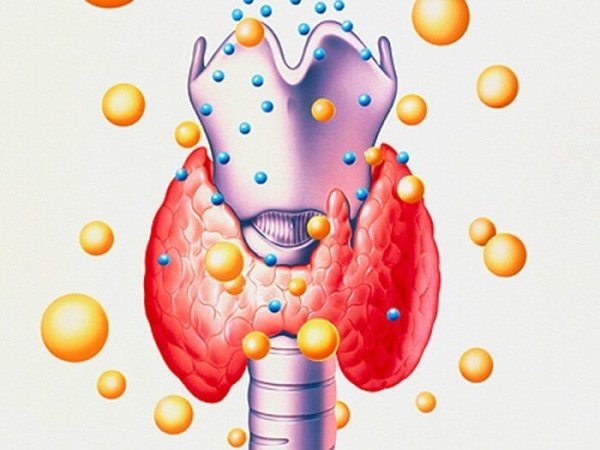 Щитовидная железа мультяшная