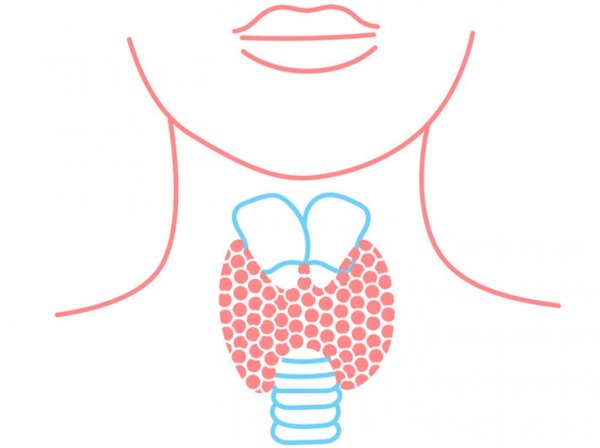 Щитовидка иконка