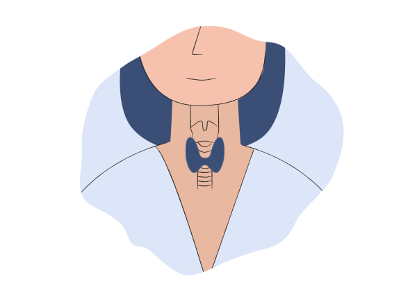 Щитовидка иконка