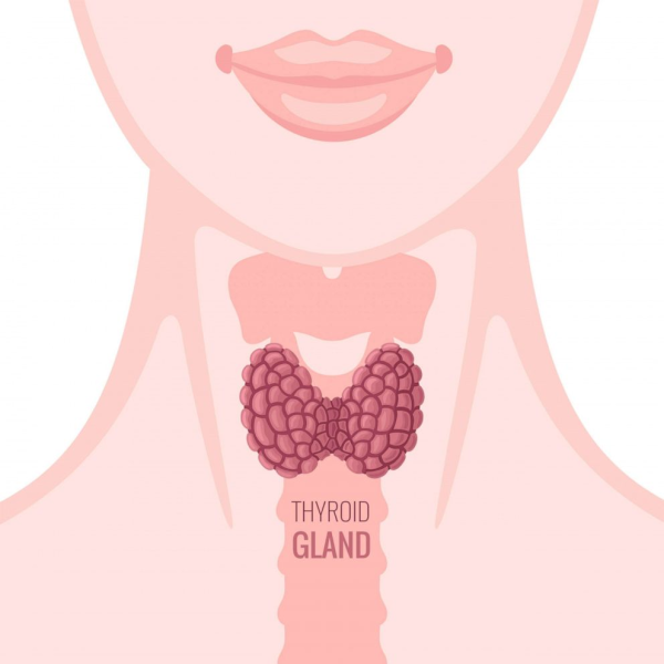 Щитовидная железа девушка