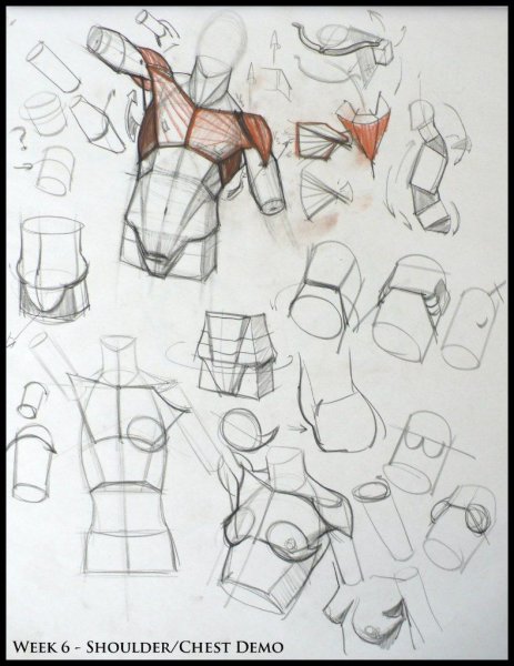 Конструктивный рисунок фигуры