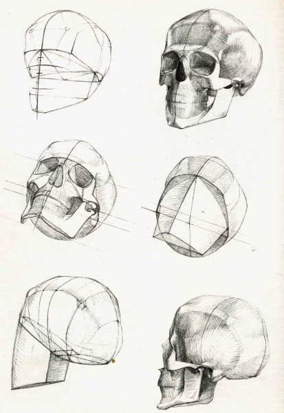 Баммес Готфрид голова человека
