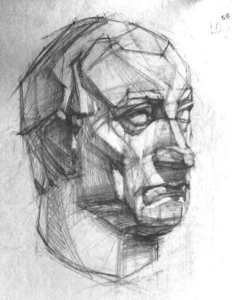 Гипсовая голова Гаттамелата конструктивный рисунок