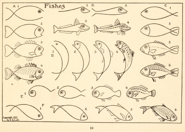 Схема рисования рыбы