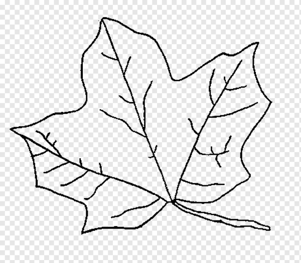 Раскраски осенних листьев