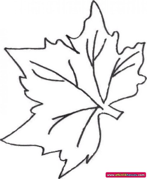 Лист винограда