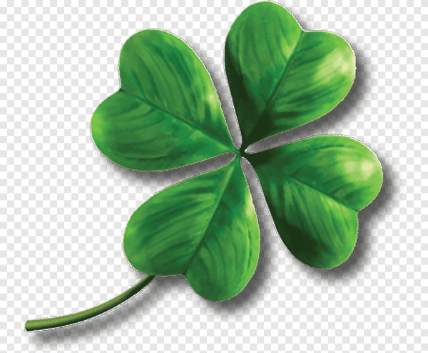 Четырехлистный Клевер Shamrock