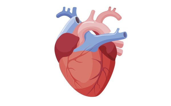 Сердце мультяшное