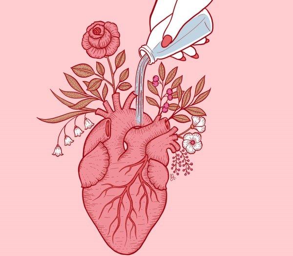 Силуэт сердца человека