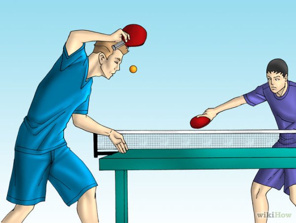 Настольный теннис программа