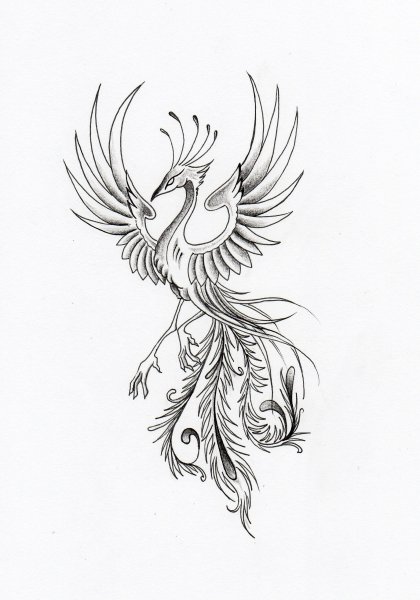 Птица Симург тату