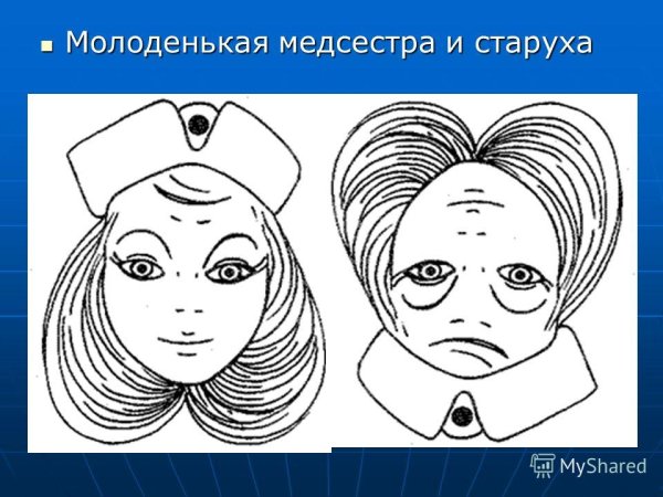 Картинки перевертыши