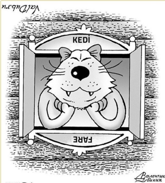 Картинки перевертыши