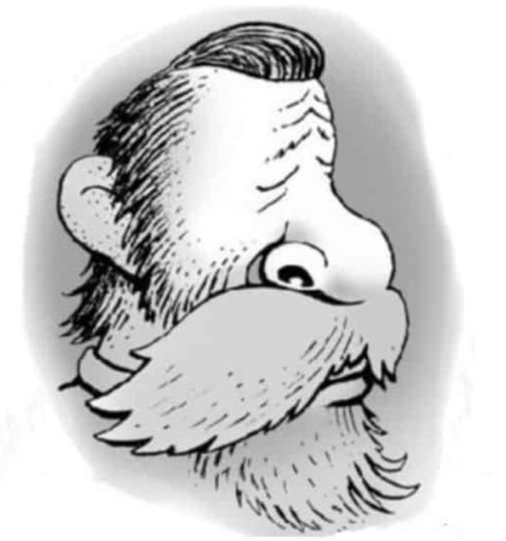 Оптические иллюзии перевертыши