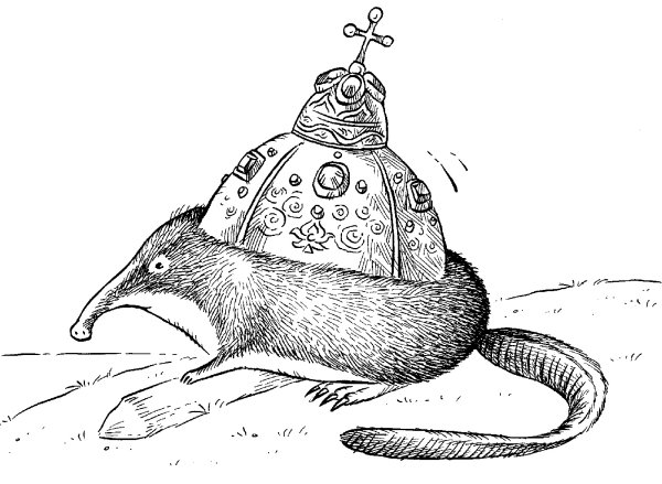 Бурозубка выхухоль