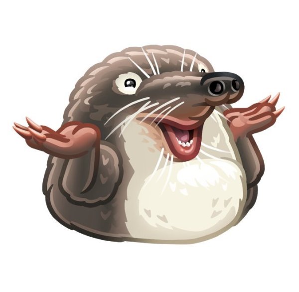 Выхухоль для детей