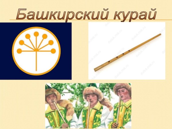 Курай растение Башкирский