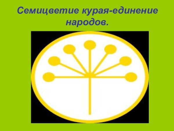 Цветок курая Башкортостан