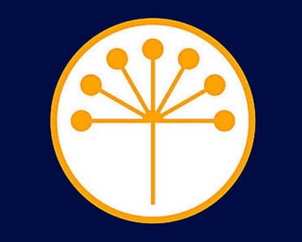 Символ Башкирии цветок курая