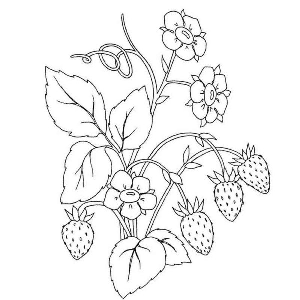 Жилище восточных славян землянка