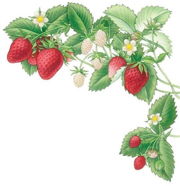 Жилища древних славян землянка