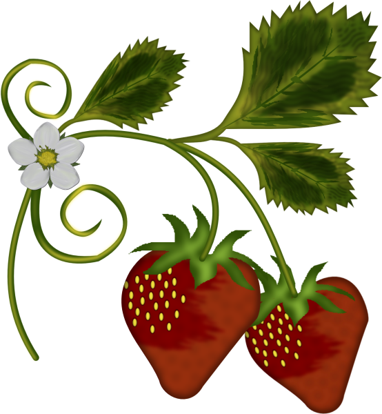 Земляника для дошкольников