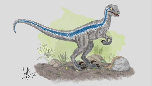 Велоцираптор Блю арт