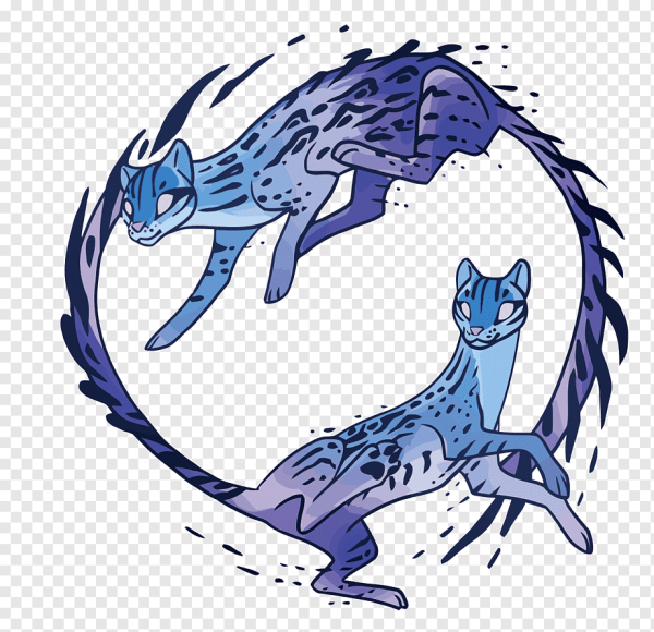 Голубая кошка дракон